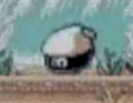 Moe as he appeared in the cancelled prototype version of Densetsu no Starfy for the Game Boy Color.