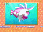 Lovely kissing Starfy on Oha Suta: The Super Kids Station, during a special ending used to promote Densetsu no Starfy 3 (animated GIF)